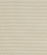 Clarke & Clarke Apex Ivory