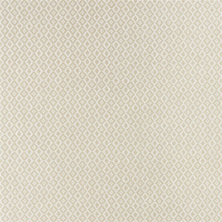 Clarke & Clarke Mono Ivory/Linen Fabric