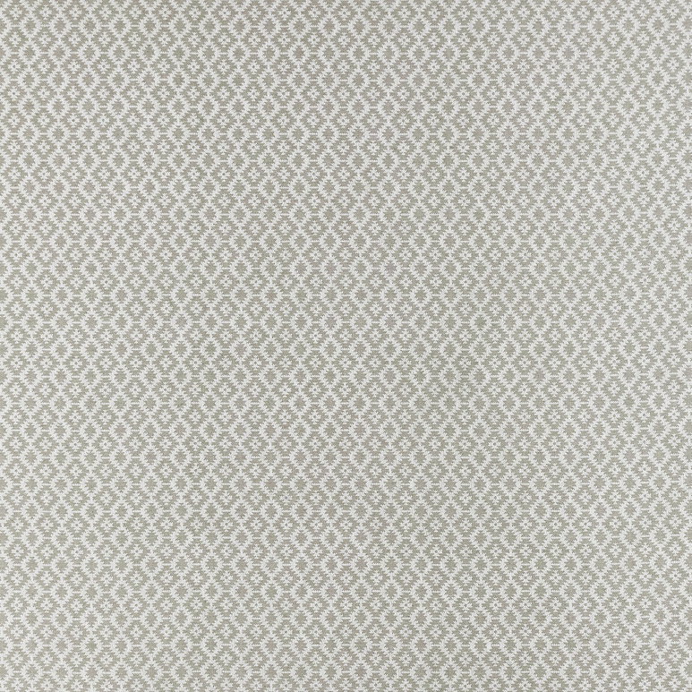 Clarke &amp; Clarke Mono Silver Fabric