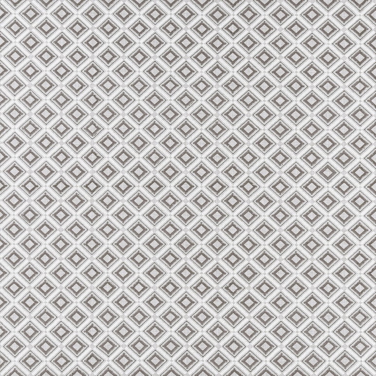 Clarke &amp; Clarke Paragon Silver Fabric