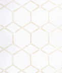 Clarke & Clarke Forma Champagne Fabric