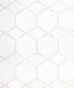 Clarke & Clarke Forma Champagne