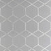 Clarke & Clarke Forma Charcoal/Silver Fabric