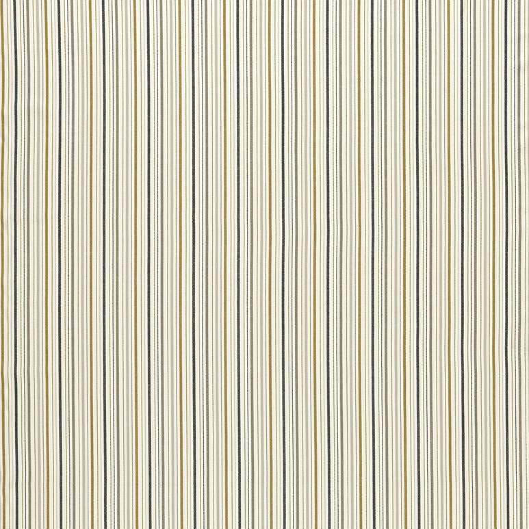 Clarke &amp; Clarke Maryland Ochre/Charcoal Fabric