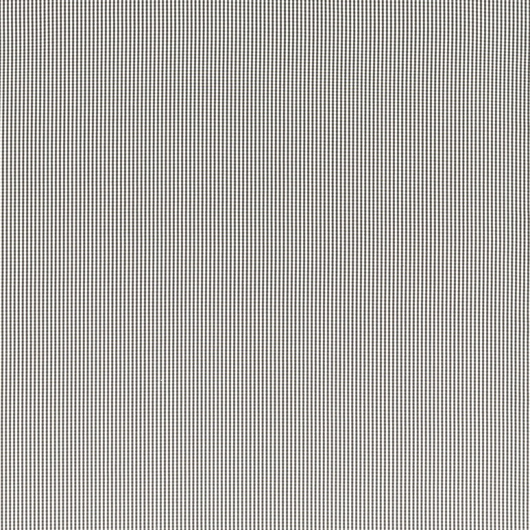 Clarke &amp; Clarke Windsor Charcoal Fabric