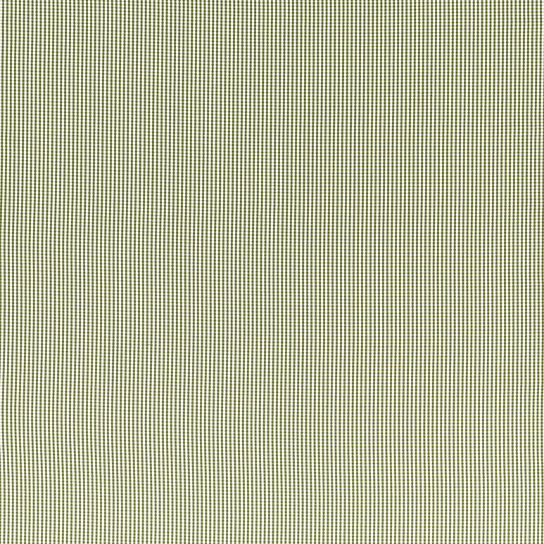 Clarke &amp; Clarke Windsor Sage Fabric