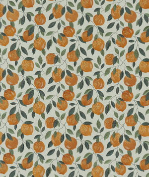 Clarke & Clarke Sicilian Orange Fabric
