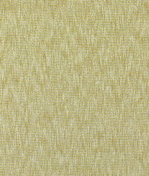 Clarke & Clarke Avani Chartreuse Fabric