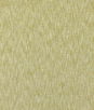 Clarke & Clarke Avani Chartreuse Fabric
