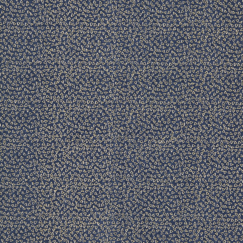 Clarke &amp; Clarke Ricamo Midnight Fabric