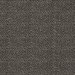 Clarke & Clarke Ricamo Nero Fabric