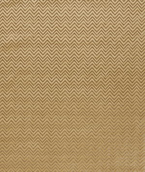 Clarke & Clarke Nexus Gold Fabric