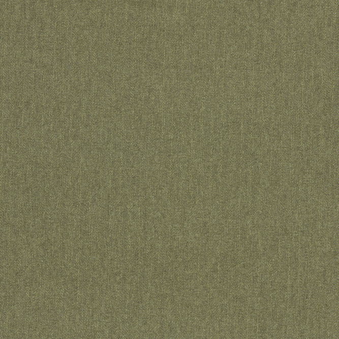 Clarke &amp; Clarke Rowland Moss Fabric