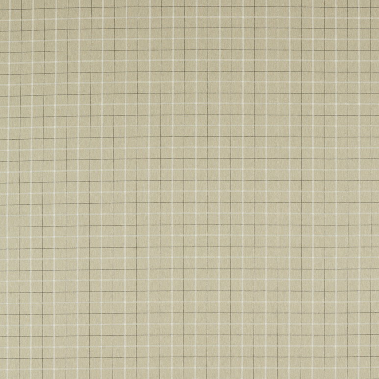 Clarke &amp; Clarke Thornton Flax Fabric