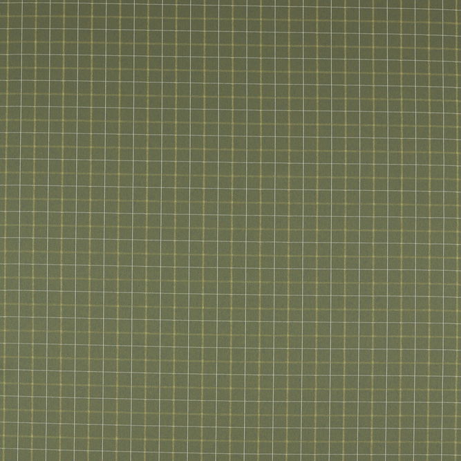 Clarke &amp; Clarke Thornton Moss Fabric