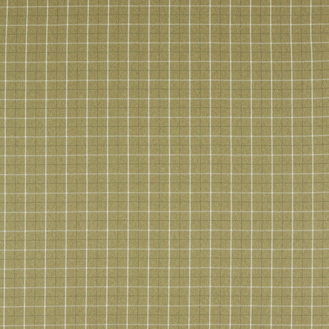 Clarke &amp; Clarke Thornton Olive Fabric