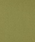 Clarke & Clarke Orla Olive Fabric