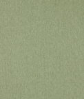 Clarke & Clarke Orla Sage Fabric