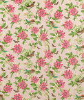 Clarke & Clarke Pink Lotus Blush Velvet Fabric