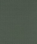 Clarke & Clarke Equator Forest Fabric
