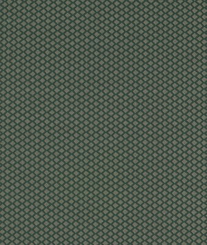 Clarke & Clarke Equator Forest Fabric
