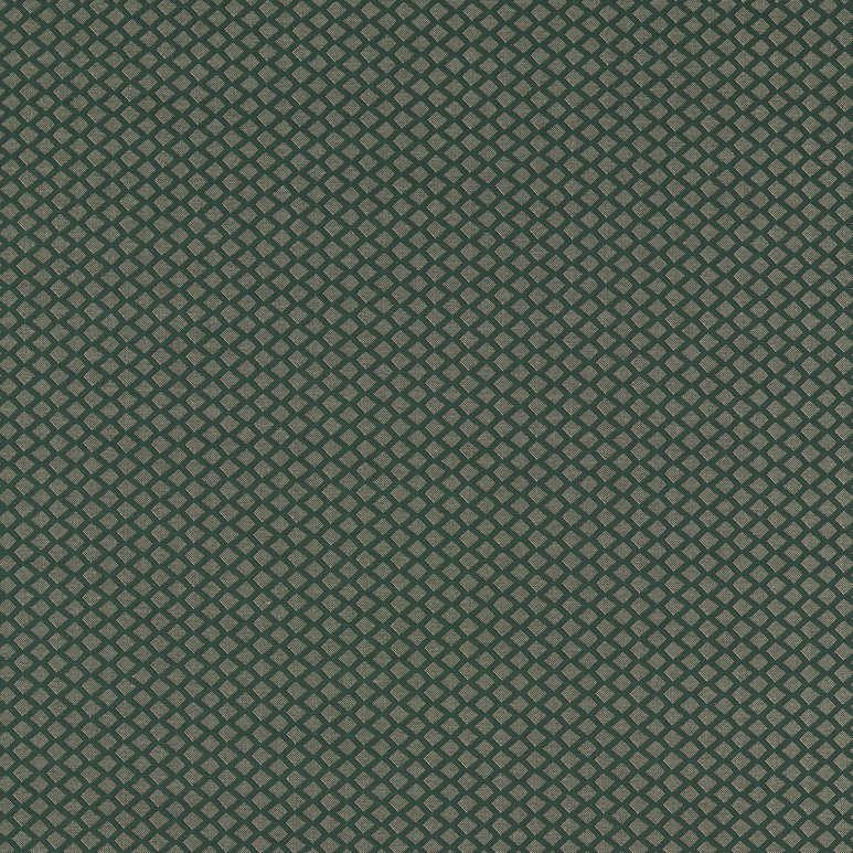 Clarke &amp; Clarke Equator Forest Fabric