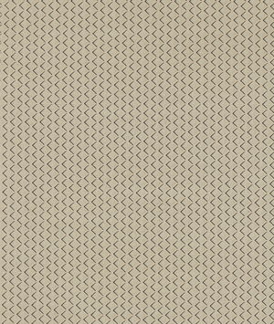 Clarke & Clarke Equator Natural Fabric