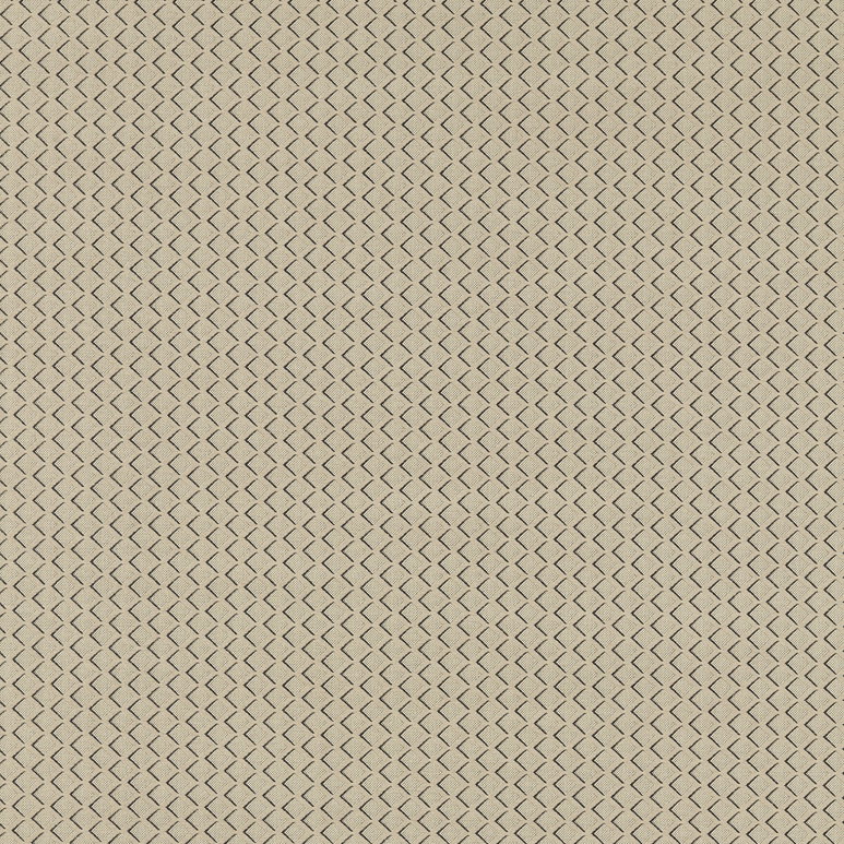Clarke &amp; Clarke Equator Natural Fabric