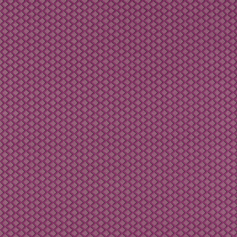 Clarke &amp; Clarke Equator Raspberry Fabric