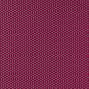 Clarke & Clarke Equator Ruby Fabric