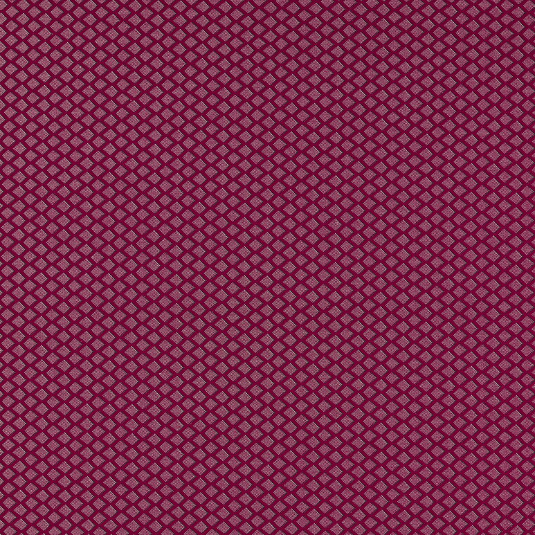 Clarke &amp; Clarke Equator Ruby Fabric