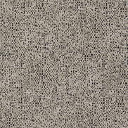 Clarke & Clarke Orion Noir Fabric