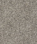 Clarke & Clarke Orion Noir Fabric