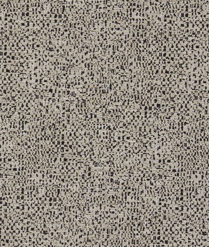 Clarke & Clarke Orion Noir Fabric