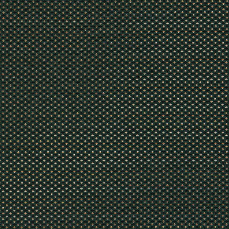 Clarke &amp; Clarke Pavo Forest Fabric