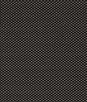 Clarke & Clarke Pavo Noir Fabric
