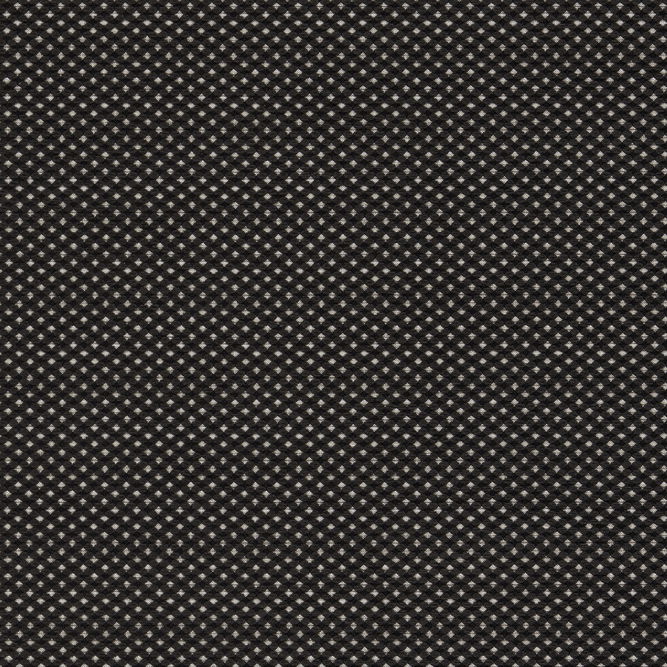 Clarke &amp; Clarke Pavo Noir Fabric