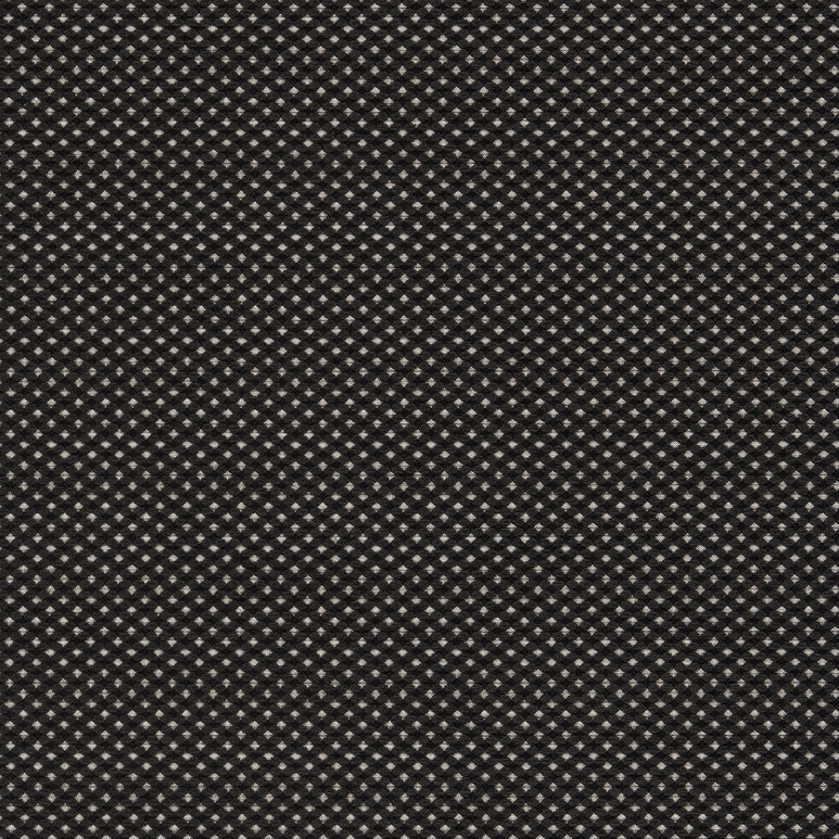 Clarke &amp; Clarke Pavo Noir Fabric