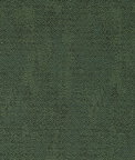 Clarke & Clarke Bjorn Moss Fabric