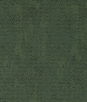Clarke & Clarke Bjorn Moss Fabric