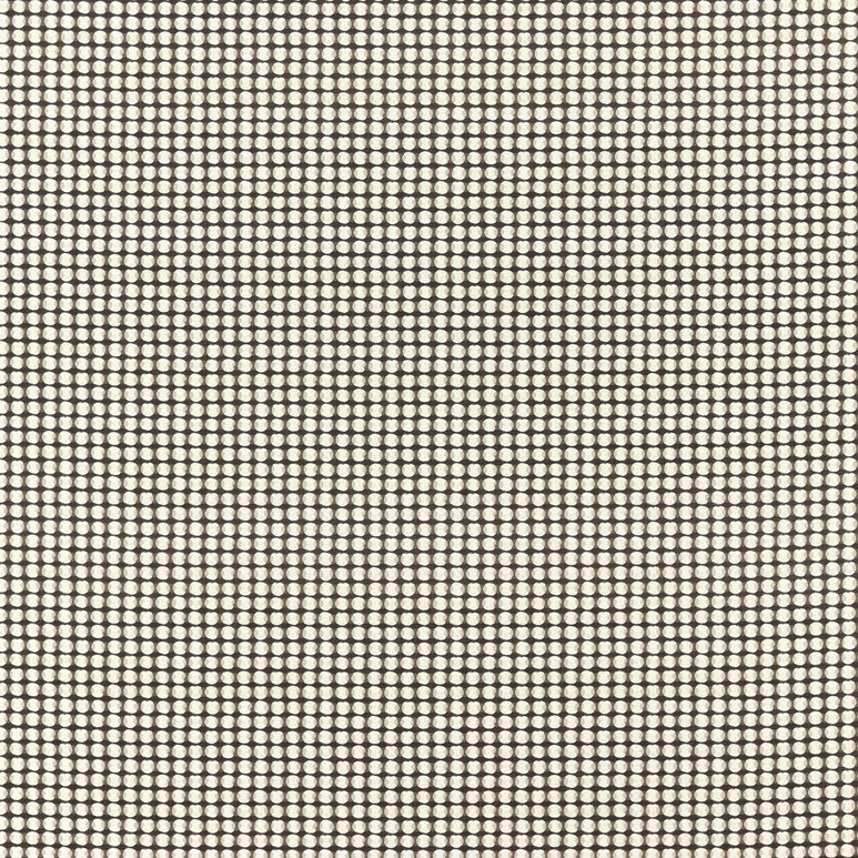 Clarke &amp; Clarke Olympia Charcoal Fabric