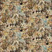 Clarke & Clarke Aubrey Velvet Noir/Mineral Fabric