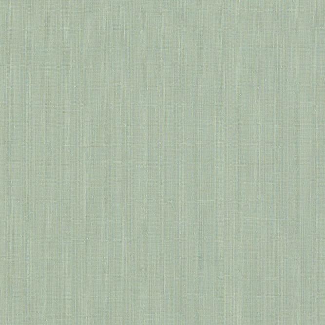 Clarke &amp; Clarke Remo Duckegg Fabric