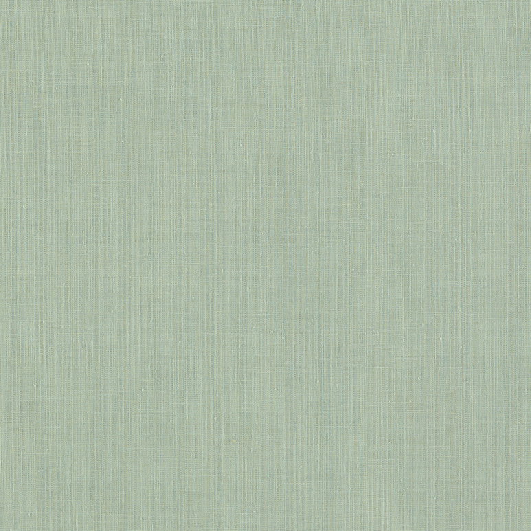 Clarke &amp; Clarke Remo Duckegg Fabric