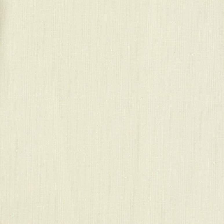 Clarke &amp; Clarke Remo Ivory Fabric