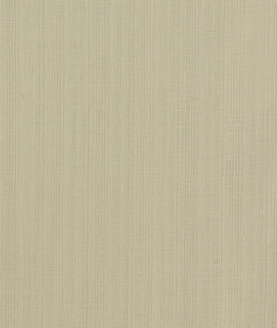 Clarke & Clarke Remo Linen Fabric