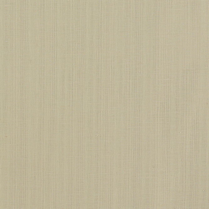 Clarke &amp; Clarke Remo Linen Fabric