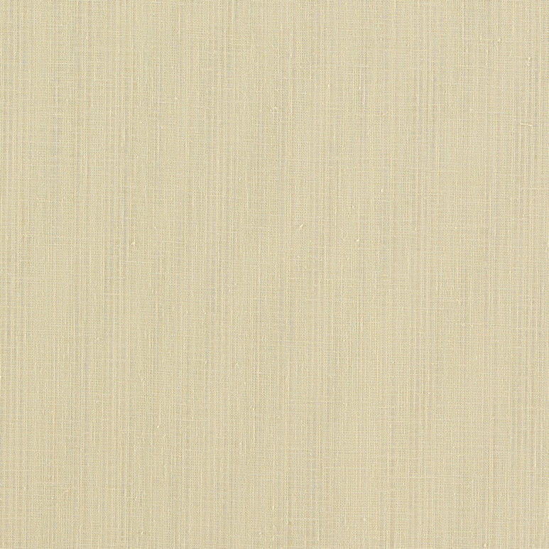 Clarke &amp; Clarke Remo Raffia Fabric