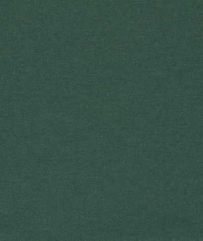 Clarke & Clarke Lugo Forest Fabric