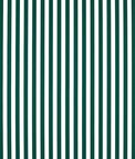 Clarke & Clarke Sicily Forest Fabric